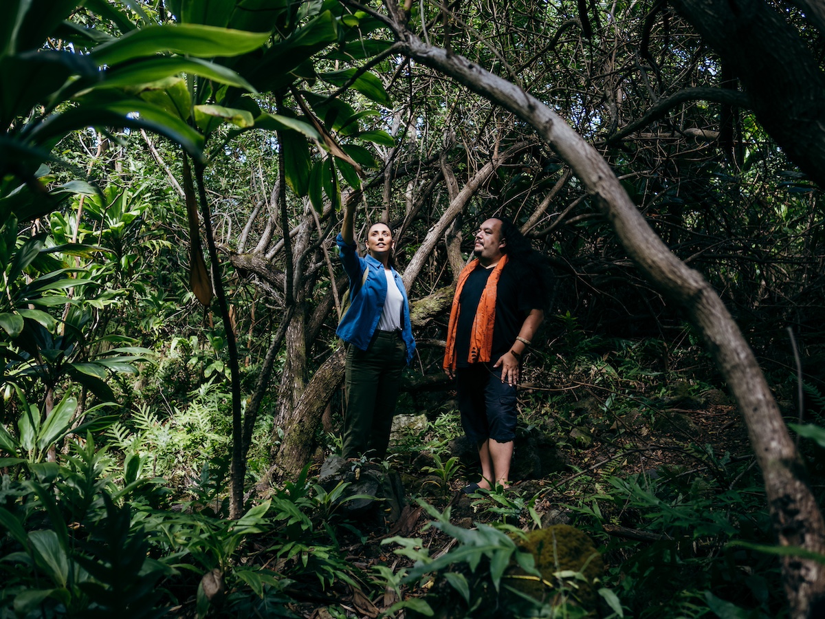 Day 4 - Heli Ride + Canoe House