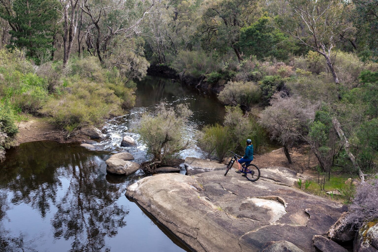 Collie_Kylie Trails_2024-10-04 (15)