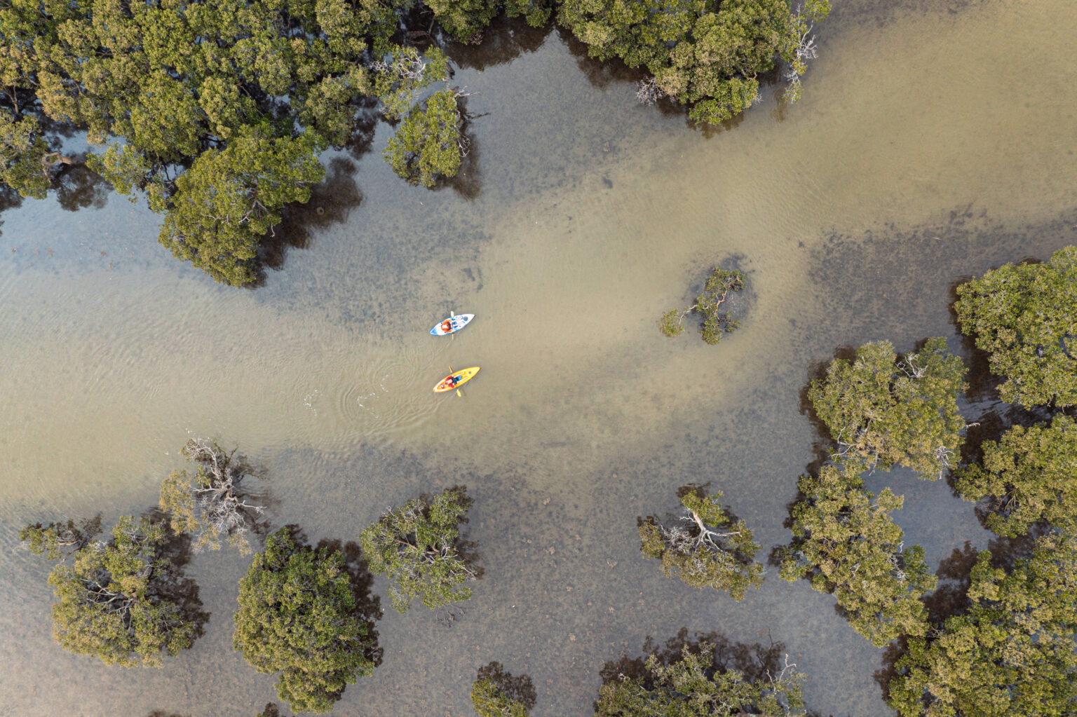WAE x Eurobodalla Day 3 - Eurobodalla 
See more at www.jonharris.photography
