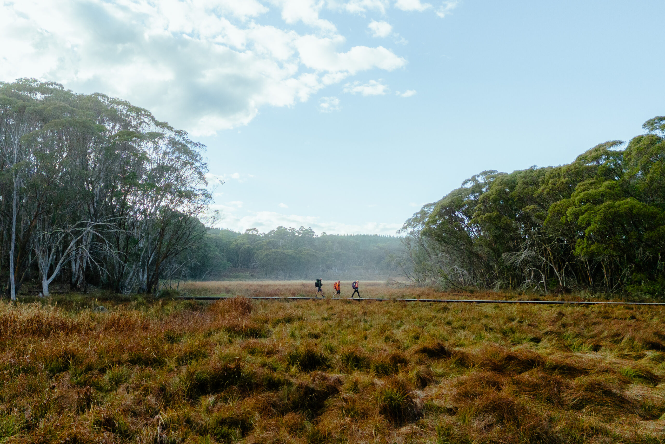 hume & hovell track hikers on track daygin prescott